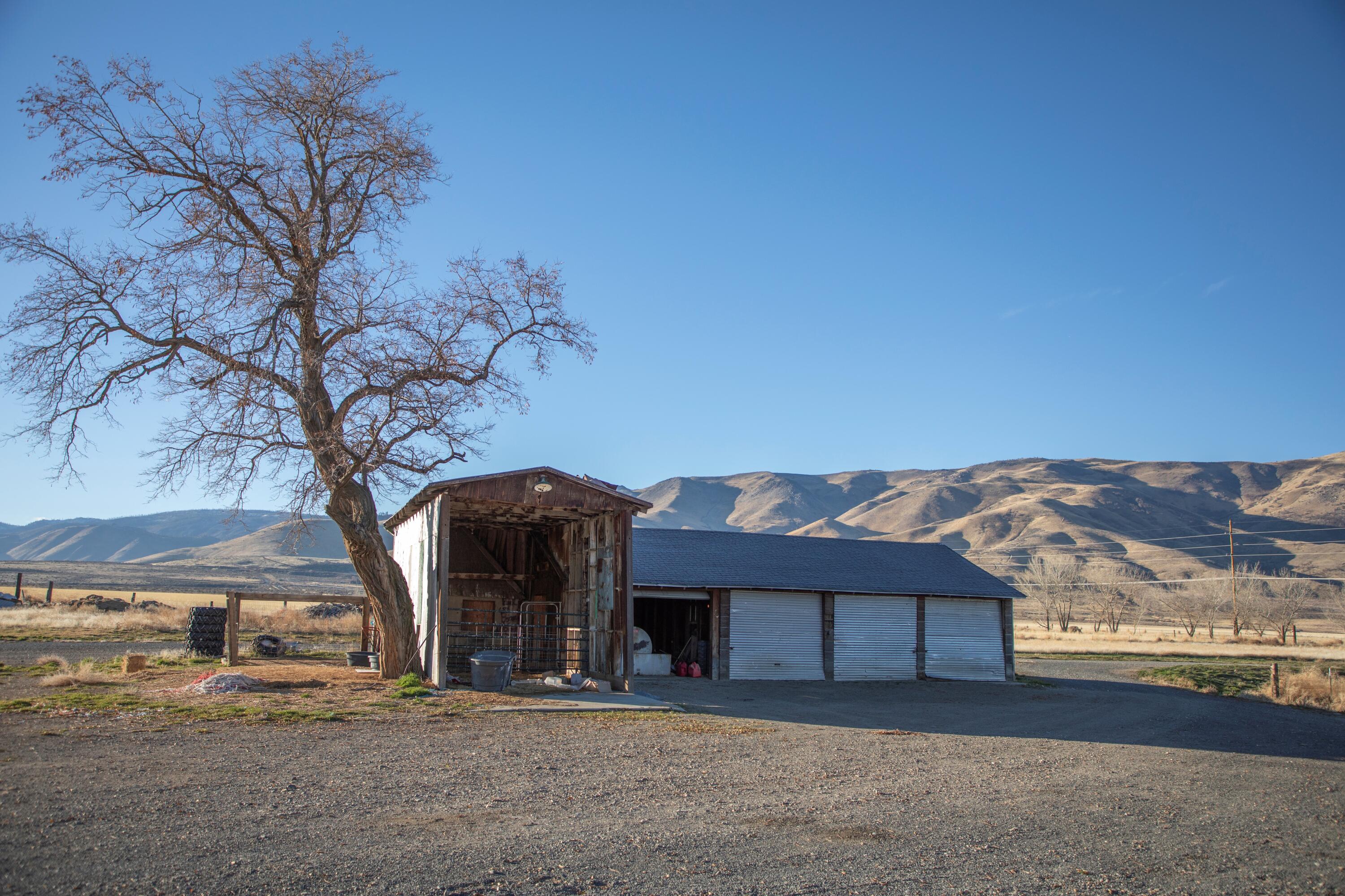 443-400 Garnier Road Doyle, CA 96109 - Photo 16 of 16 ranch property for sale california wavy