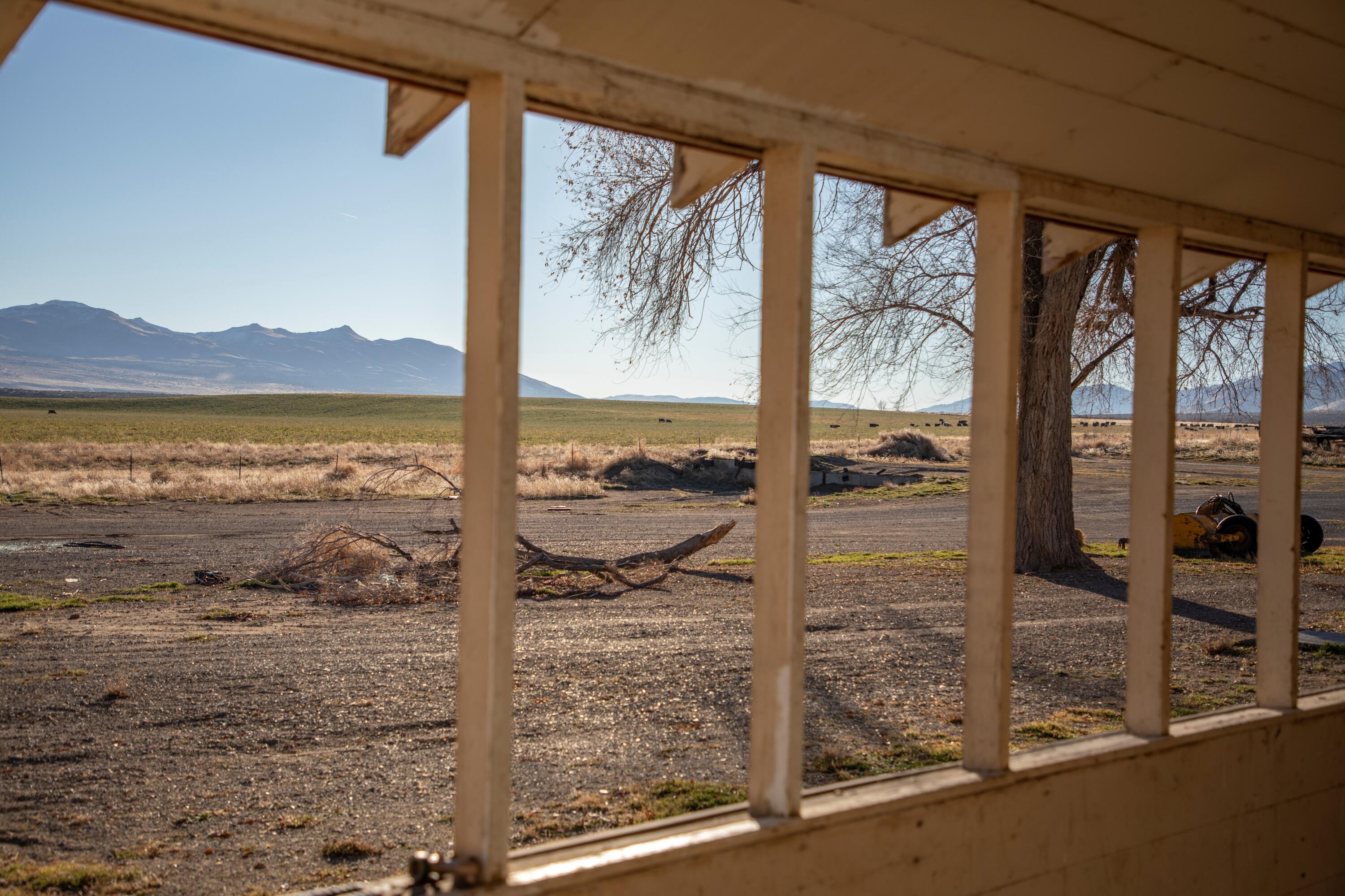 443-400 Garnier Road Doyle, CA 96109 - Photo 5 of 16 cattle property for sale california wavy