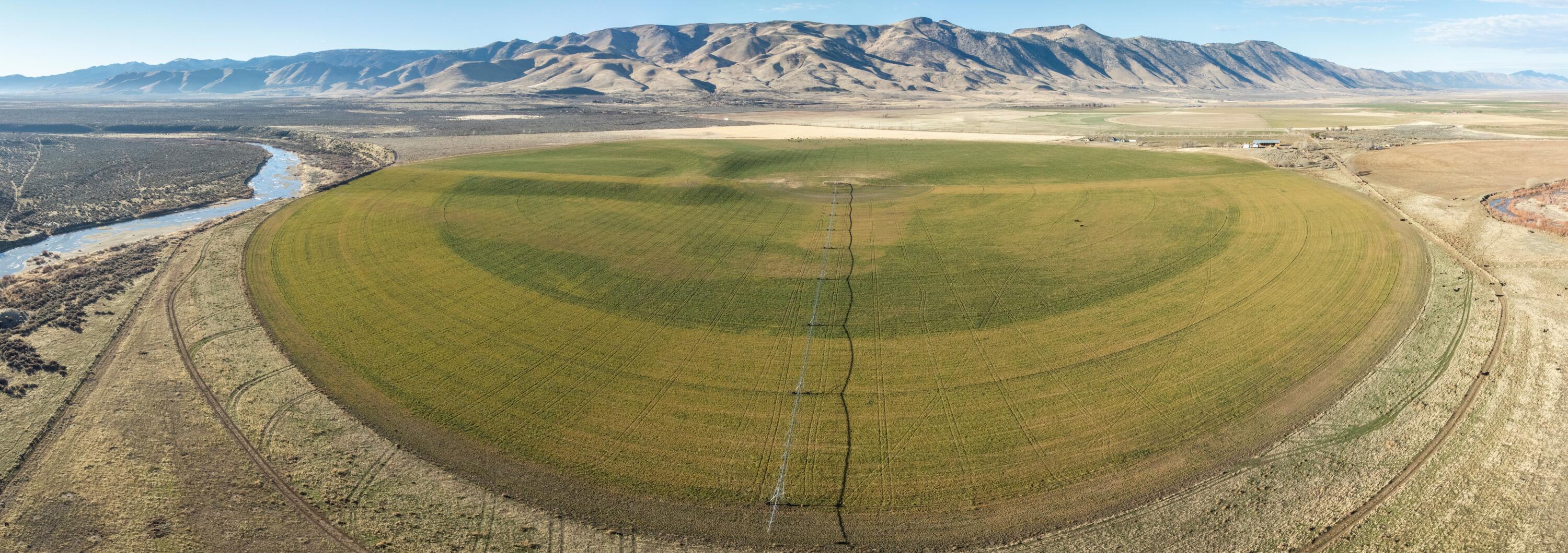443-400 Garnier Road Doyle, CA 96109 - Photo 7 of 16 farming acreage for sale california wavy