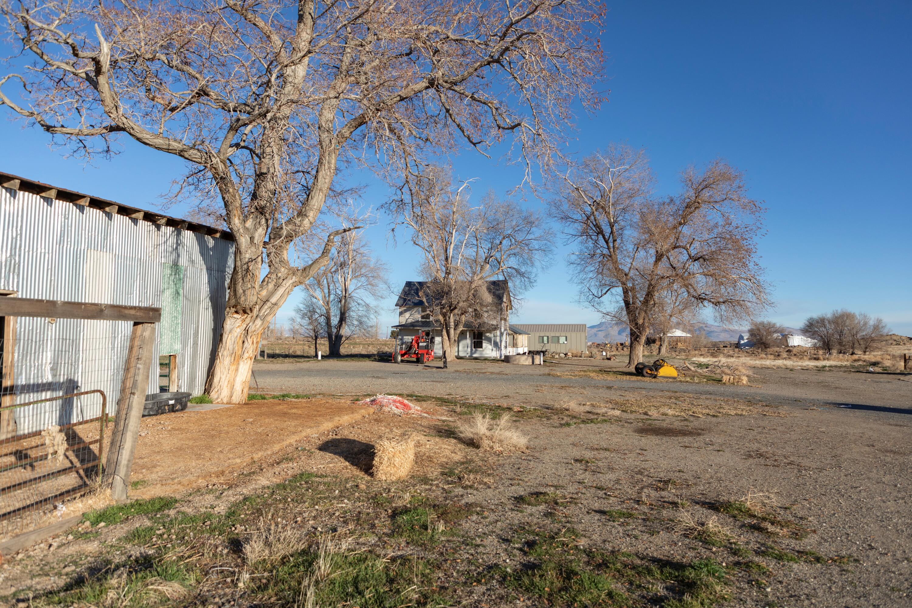 443-400 Garnier Road Doyle, CA 96109 - Photo 9 of 16 hay and cattle ranch for sale california
