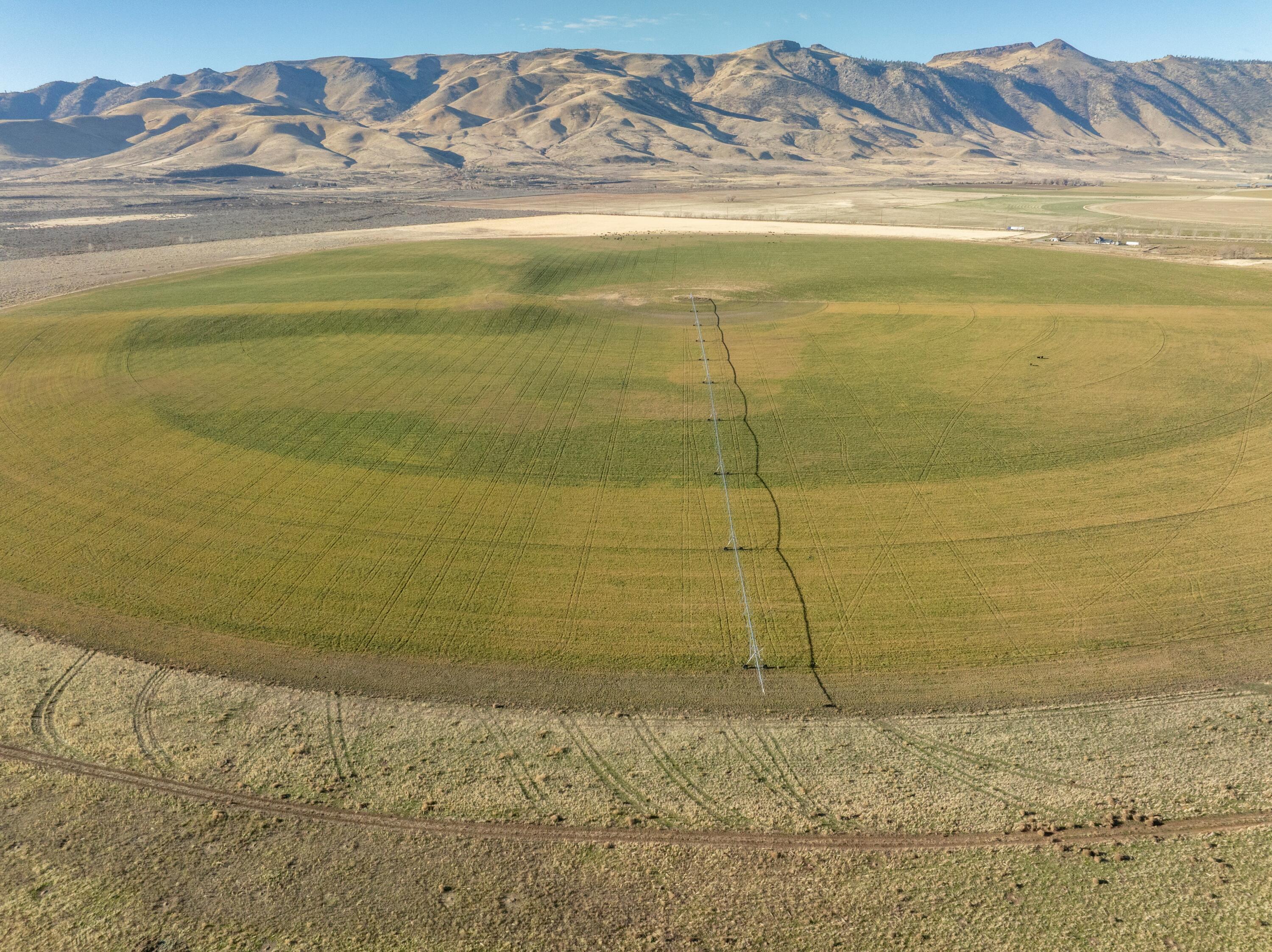 443-400 Garnier Road Doyle, CA 96109 - Photo 10 of 16 hay field for sale california wavy s ran
