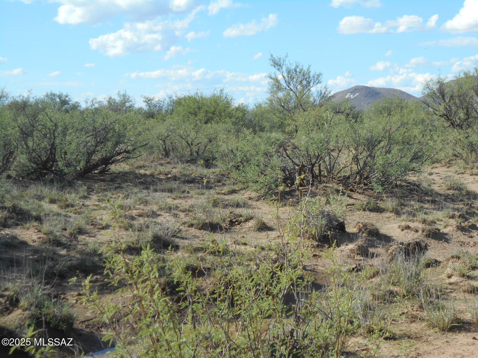 36.8-acres West Old Stewart Road, Unit 53 Willcox, AZ 85643 - Photo 12 of 42