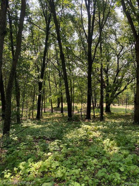 7 Sleaford-parcel 7 - 2 Acres Road Howell, MI 48843 - Photo 19 of 45