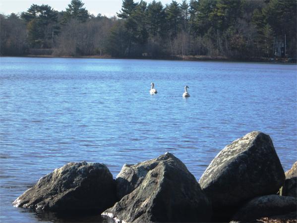 56 Bella Road Sharon, MA 02067 - Photo 7 of 7 Gallery Image 7