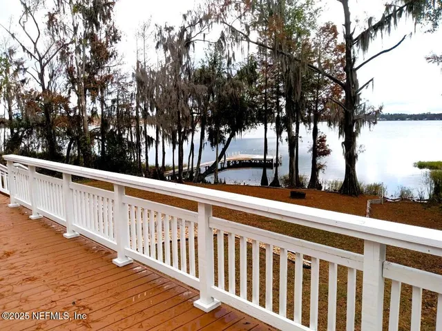 a view of a backyard with large trees