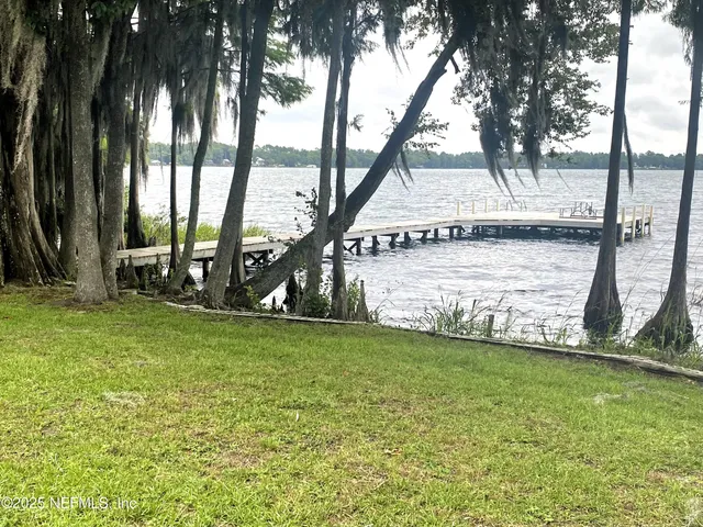 a view of yard with tree