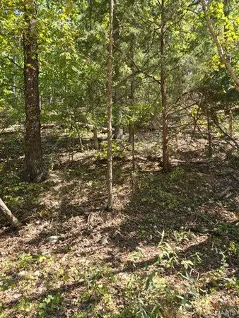 $65,000 | 0 County Road 421, Birch Tree, MO 65438