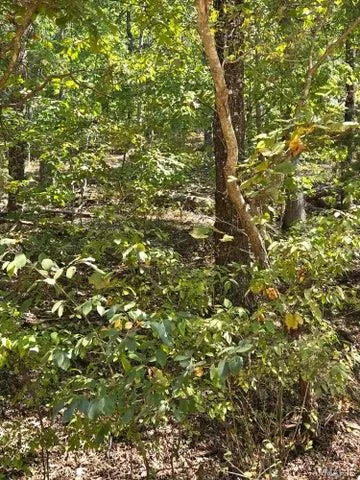 $65,000 | 0 County Road 421, Birch Tree, MO 65438