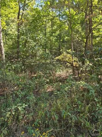 $65,000 | 0 County Road 421, Birch Tree, MO 65438