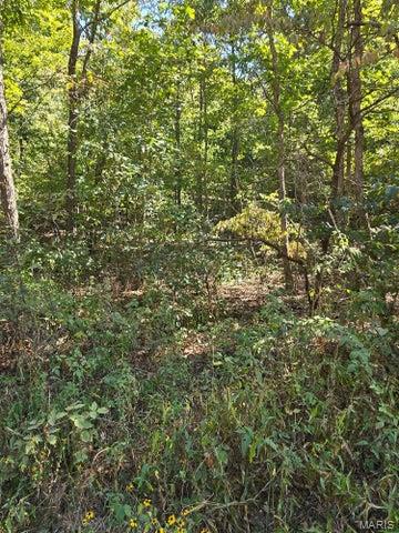 0 County Road 421 Birch Tree, MO 65438 - Photo 12 of 20