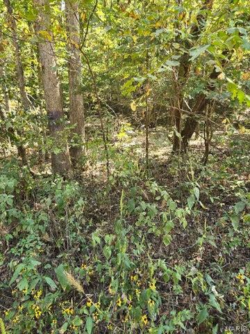 0 County Road 421 Birch Tree, MO 65438 - Photo 13 of 20