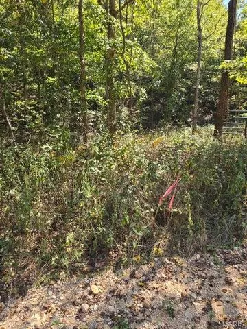 $65,000 | 0 County Road 421, Birch Tree, MO 65438