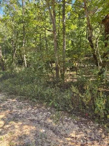 $65,000 | 0 County Road 421, Birch Tree, MO 65438