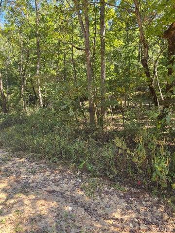 0 County Road 421 Birch Tree, MO 65438 - Photo 15 of 20