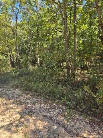 $65,000 | 0 County Road 421, Birch Tree, MO 65438