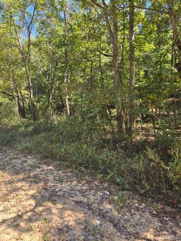 0 County Road 421 Birch Tree, MO 65438 - Photo 17 of 20