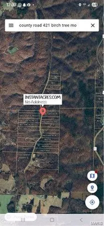 $65,000 | 0 County Road 421, Birch Tree, MO 65438