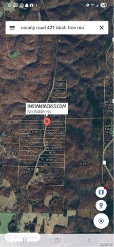 0 County Road 421 Birch Tree, MO 65438 - Photo 18 of 20