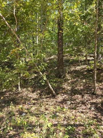 0 County Road 421 Birch Tree, MO 65438 - Photo 2 of 20