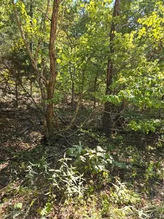 $65,000 | 0 County Road 421, Birch Tree, MO 65438