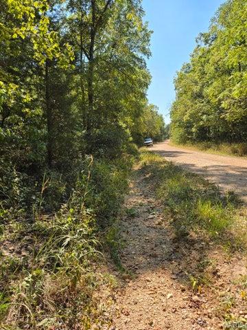 0 County Road 421 Birch Tree, MO 65438 - Photo 5 of 20