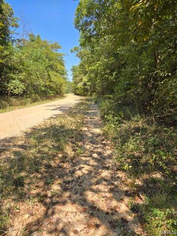 0 County Road 421 Birch Tree, MO 65438 - Photo 6 of 20