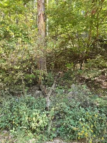 $65,000 | 0 County Road 421, Birch Tree, MO 65438