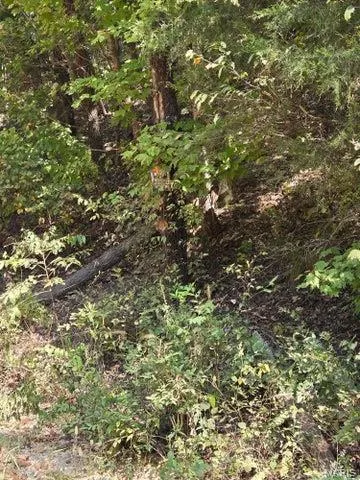 $65,000 | 0 County Road 421, Birch Tree, MO 65438