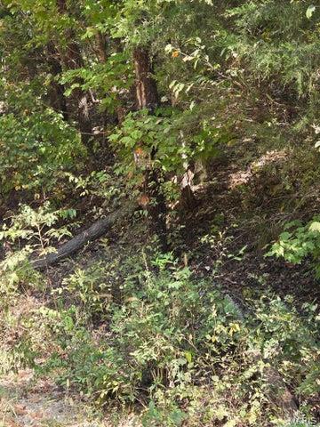 0 County Road 421 Birch Tree, MO 65438 - Photo 9 of 20