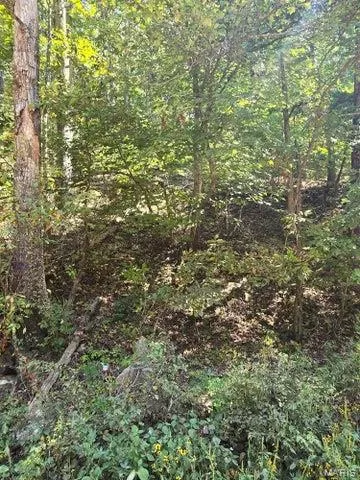 $65,000 | 0 County Road 421, Birch Tree, MO 65438