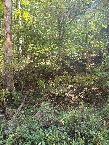 0 County Road 421 Birch Tree, MO 65438 - Photo 10 of 20