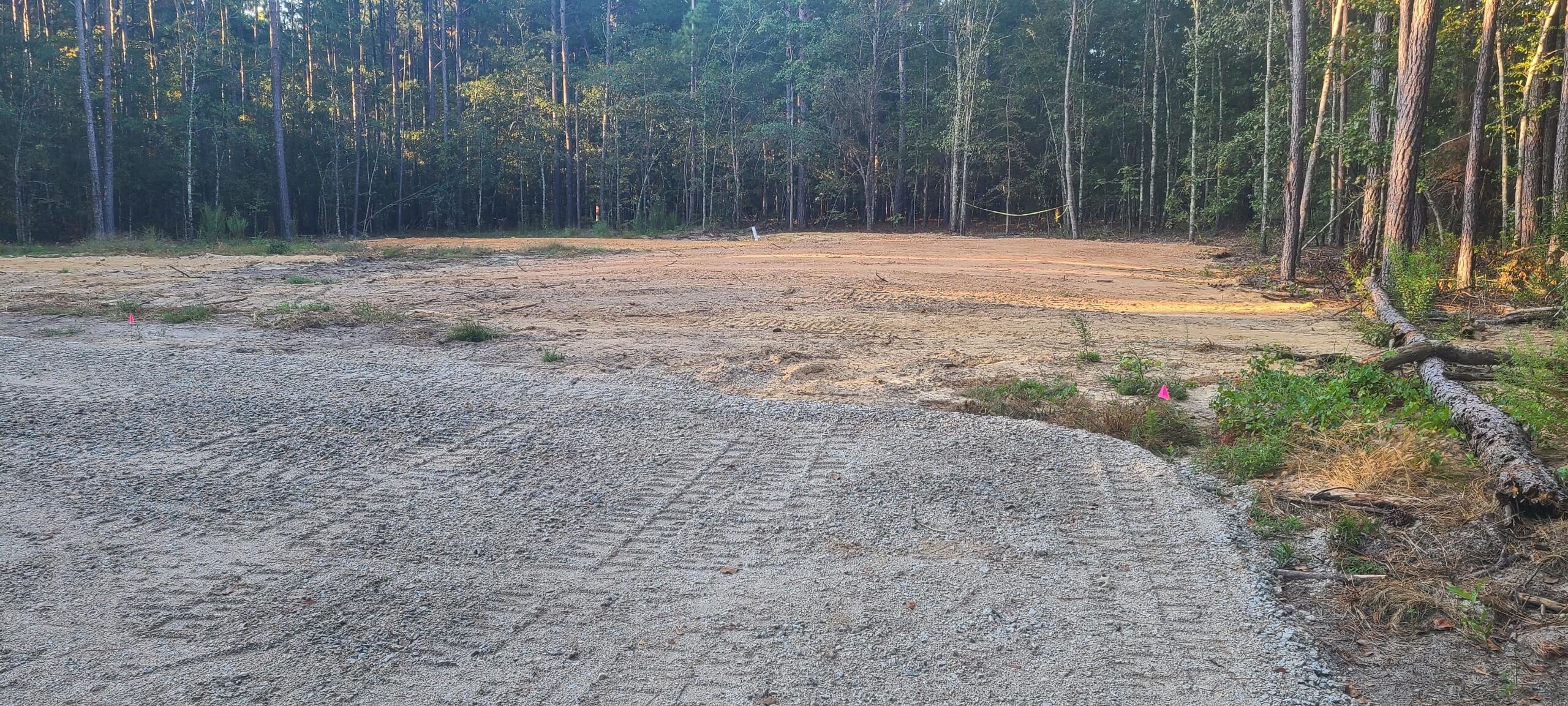 12288 Bloomville Road Manning, SC 29102 - Photo 2 of 4 Gallery Image 2