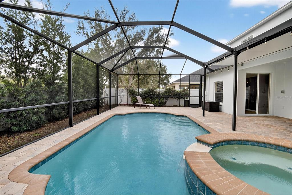 11543 Addison Chase Drive Riverview, FL 33579 - Photo 40 of 45 a view of small pool