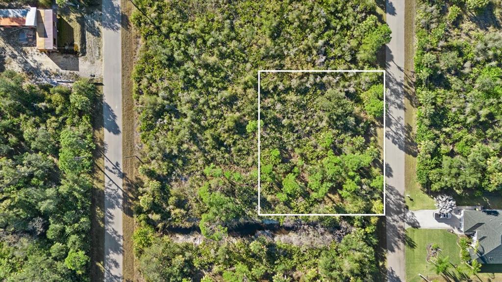 14113 Hydrangea Avenue Port Charlotte, FL 33953 - Photo 2 of 20 a backyard of a house with lots of green space