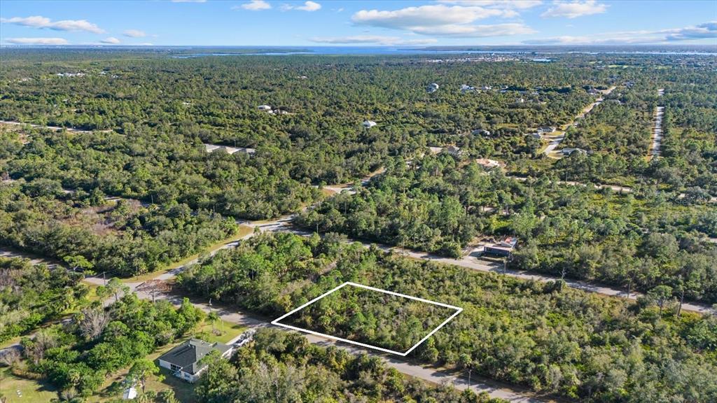 14113 Hydrangea Avenue Port Charlotte, FL 33953 - Photo 5 of 20 an aerial view of residential houses with outdoor space and trees