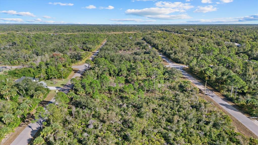 14113 Hydrangea Avenue Port Charlotte, FL 33953 - Photo 6 of 20 a view of a lake with a yard