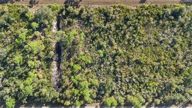 a view of a green field with lots of bushes