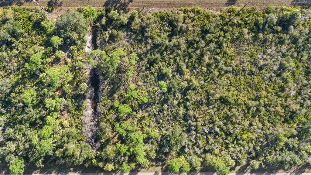 14113 Hydrangea Avenue Port Charlotte, FL 33953 - Photo 9 of 20 a view of a tree