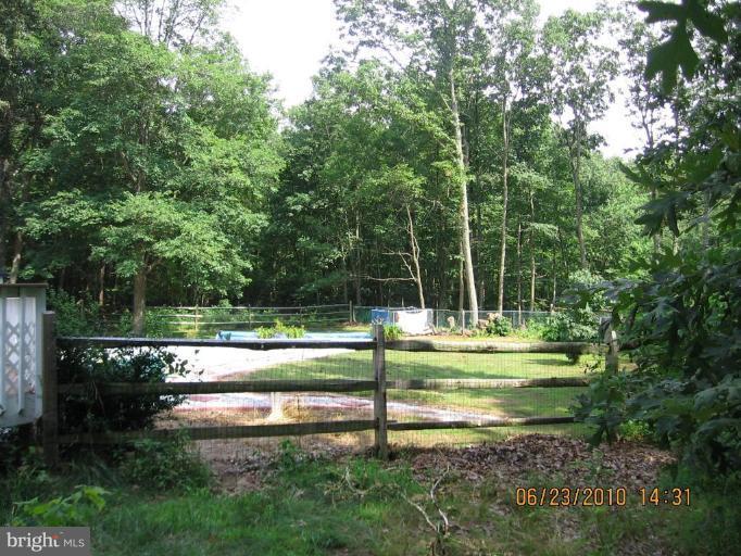 1040 Old Elk Neck Road Elkton, MD 21921 - Photo 3 of 11 Back yard