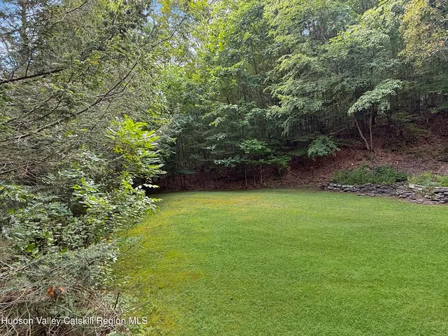 a view of a yard with a tree