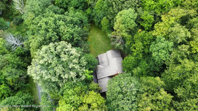 a view of a lush green forest with lots of trees
