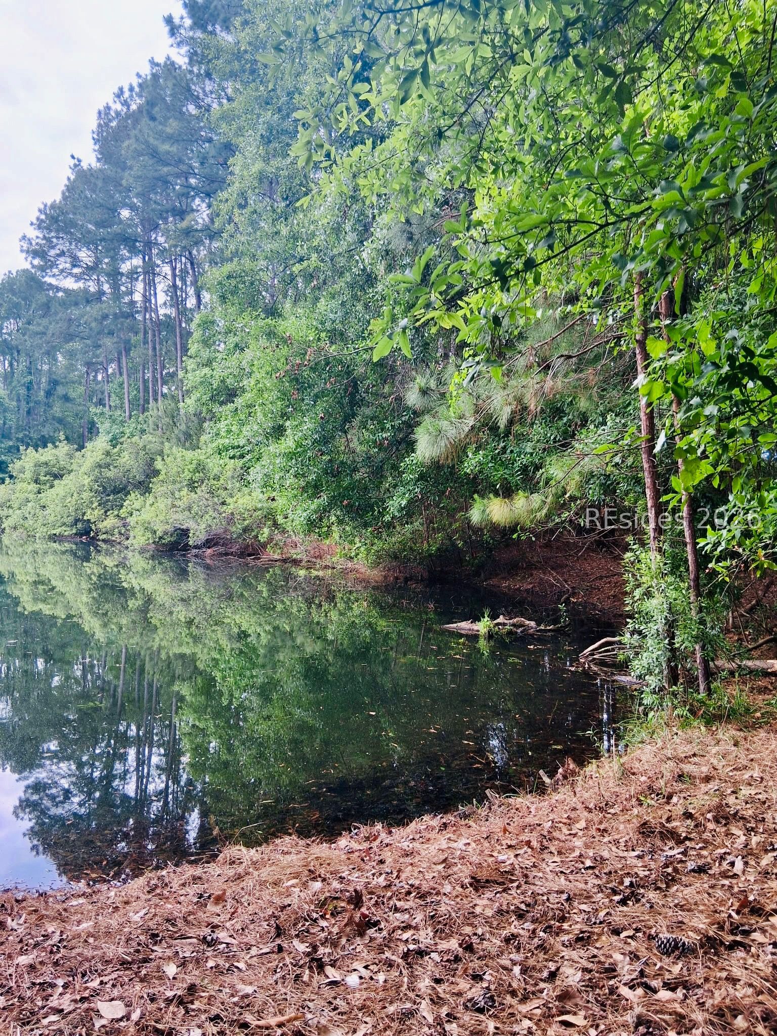 309 Hampton Lake Crossing Bluffton, SC 29910 - Photo 35 of 55