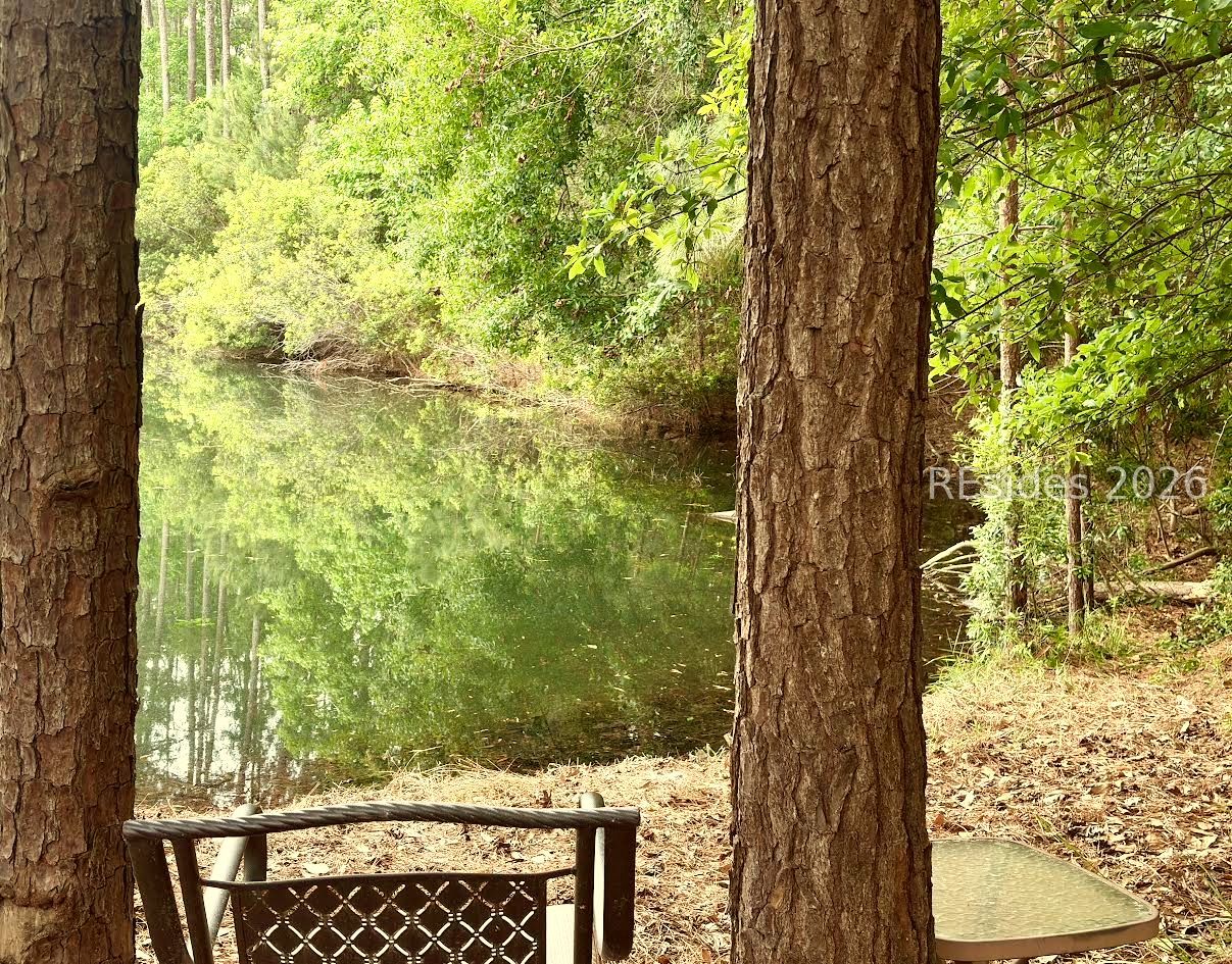 309 Hampton Lake Crossing Bluffton, SC 29910 - Photo 36 of 55