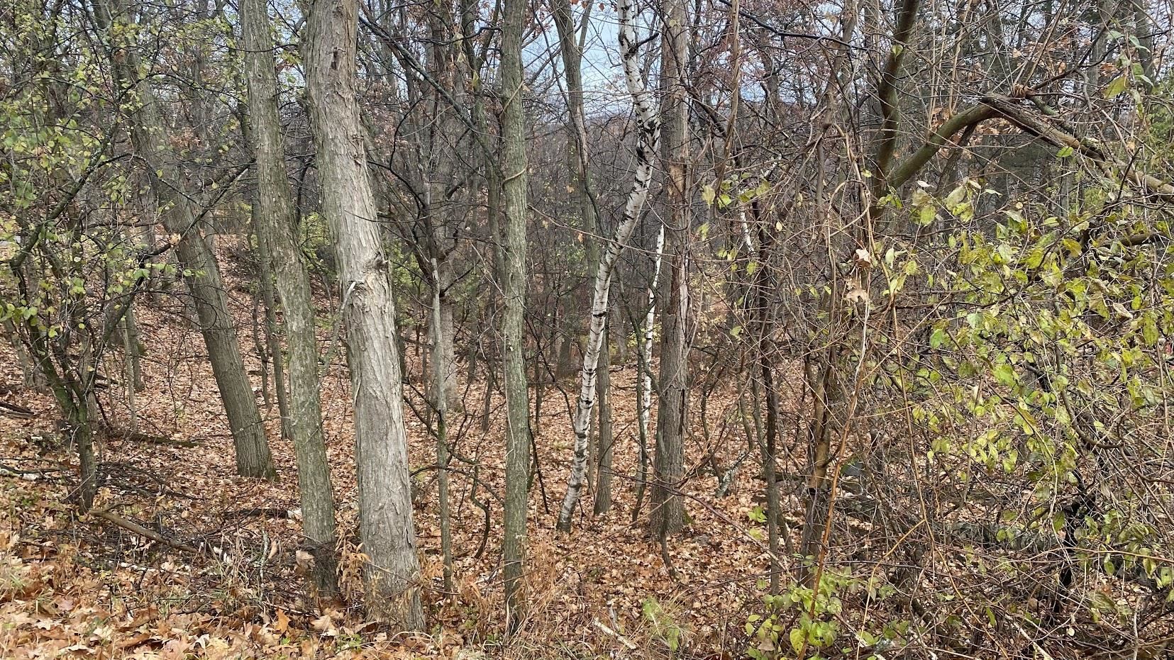 L27-29 Hillside Wisconsin Dells, WI 53965 - Photo 12 of 29