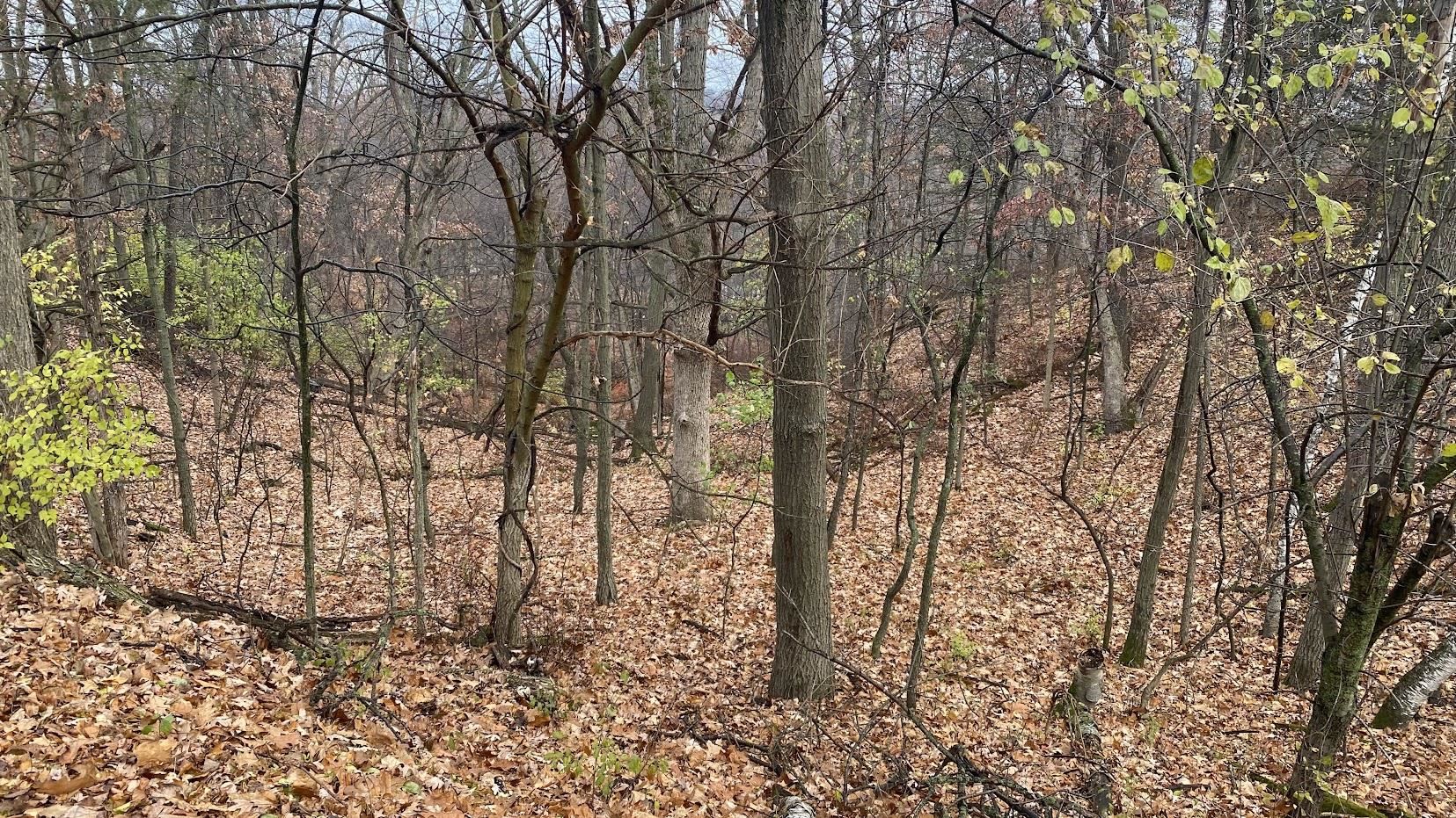 L27-29 Hillside Wisconsin Dells, WI 53965 - Photo 14 of 29