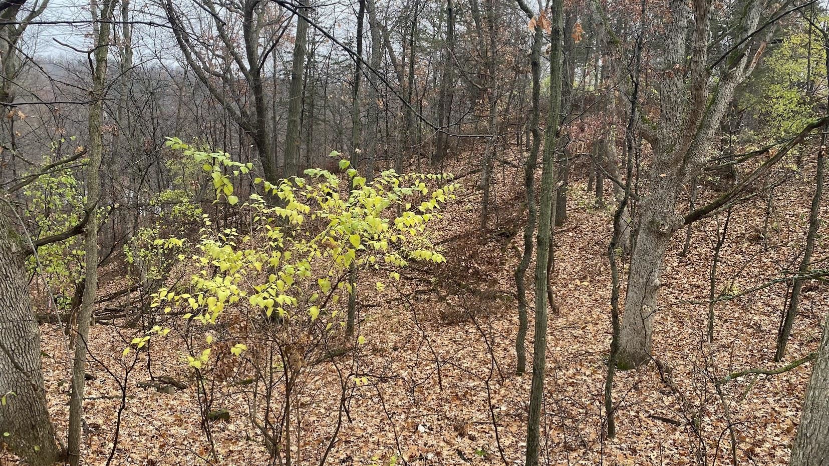L27-29 Hillside Wisconsin Dells, WI 53965 - Photo 17 of 29
