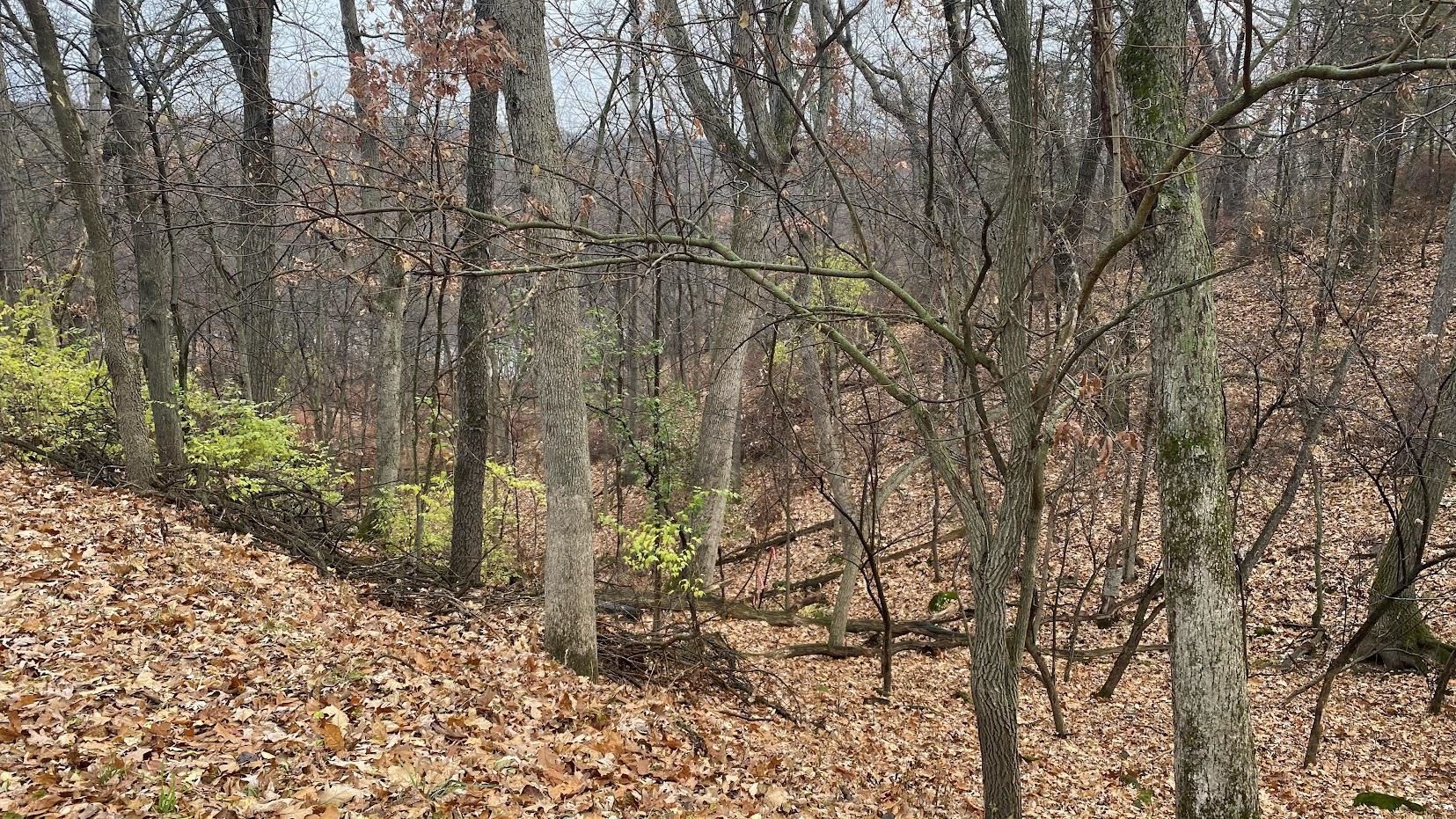 L27-29 Hillside Wisconsin Dells, WI 53965 - Photo 19 of 29