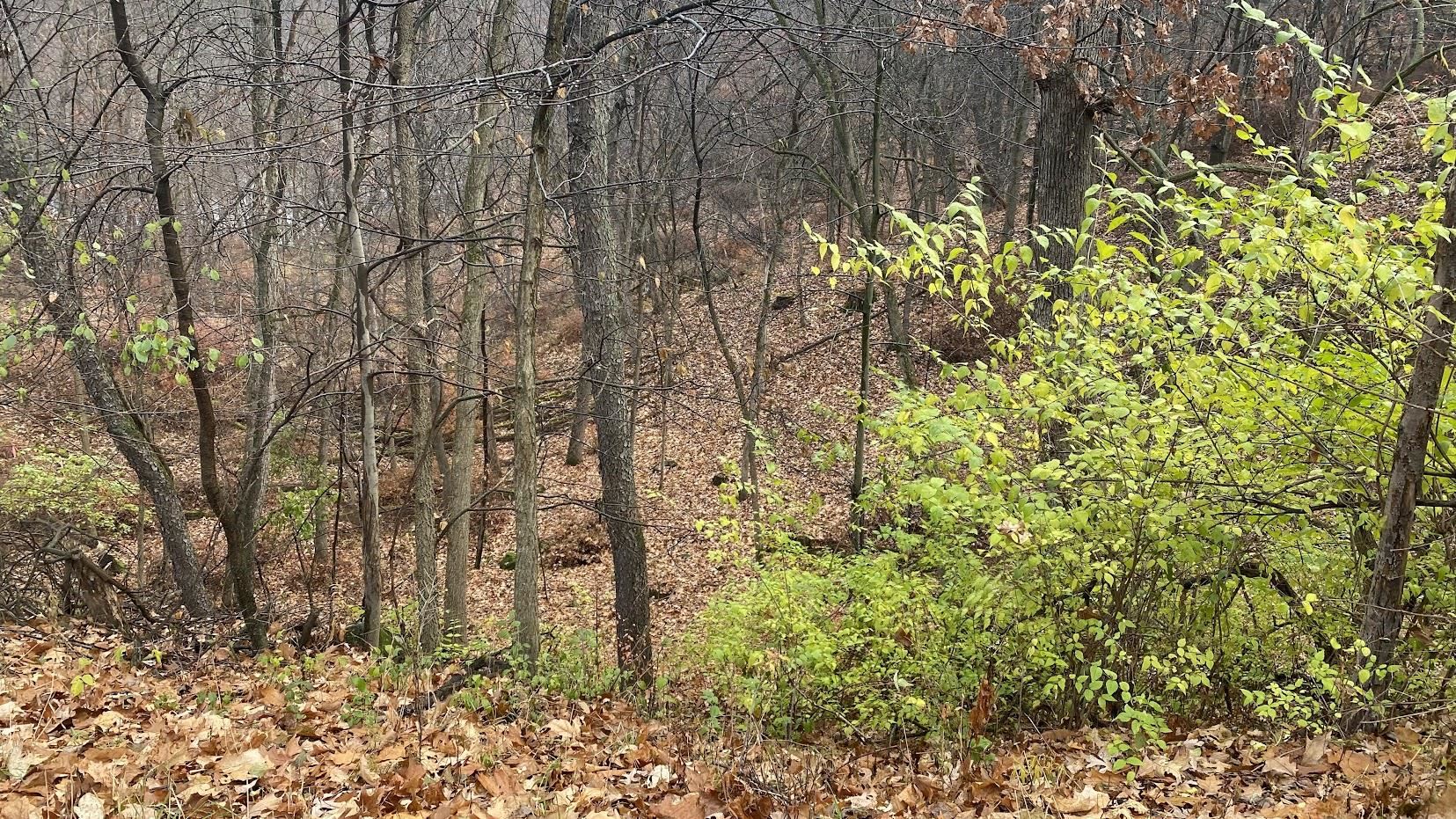 L27-29 Hillside Wisconsin Dells, WI 53965 - Photo 2 of 29