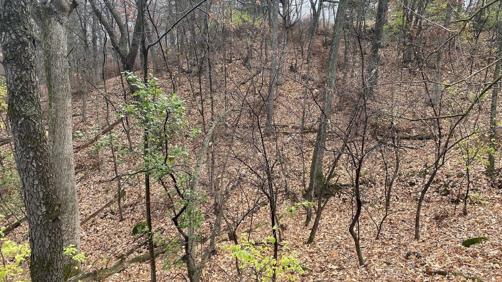 L27-29 Hillside Wisconsin Dells, WI 53965 - Photo 24 of 29