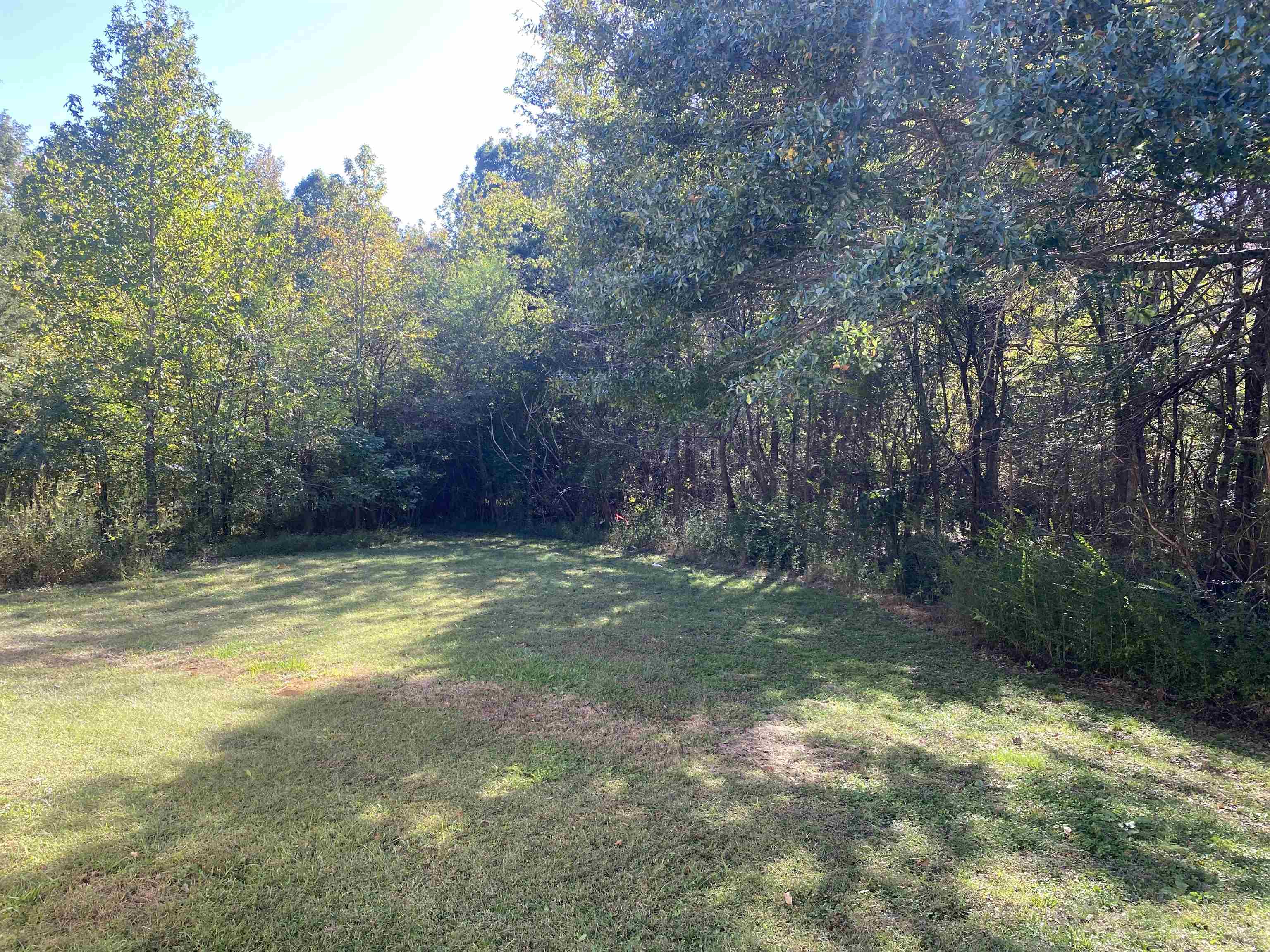 5610 Leapwood Enville Road Adamsville, TN 38310 - Photo 15 of 27 a view of a yard with trees